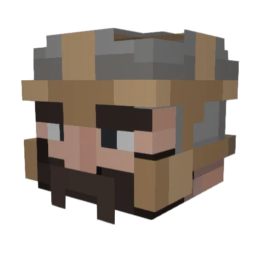 Hecktickles Minecraft avatar head, 3D render