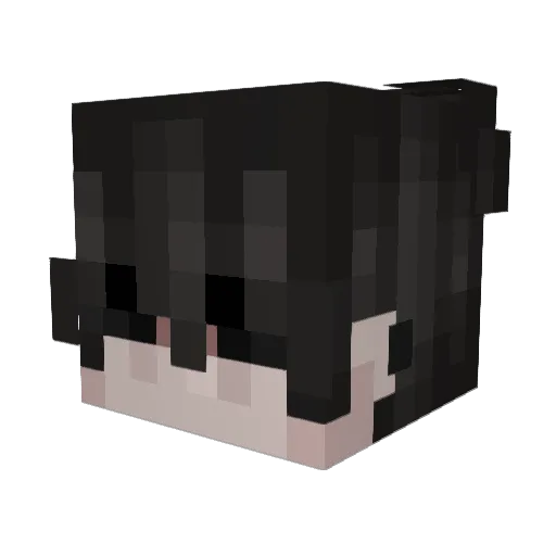 Hecktischer_Hase Minecraft avatar head, 3D render