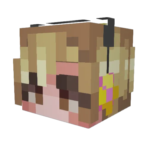 Hectic8207 Minecraft avatar head, 3D render