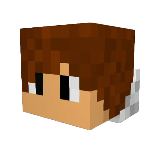 Hecticism Minecraft avatar head, 3D render