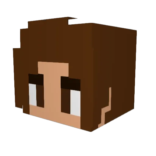 Hecticity Minecraft avatar head, 3D render
