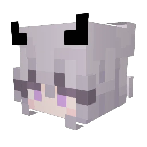 Hecticque Minecraft avatar head, 3D render
