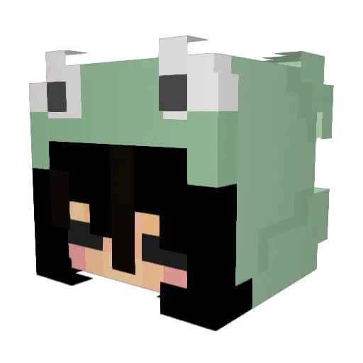Hectictg Minecraft avatar head, 3D render