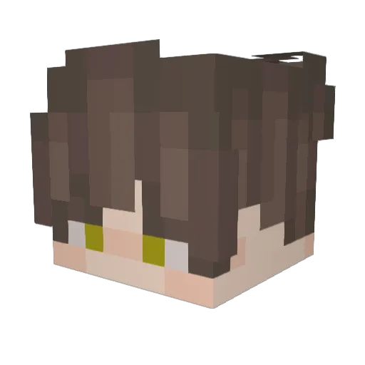 Hectobit Minecraft avatar head, 3D render