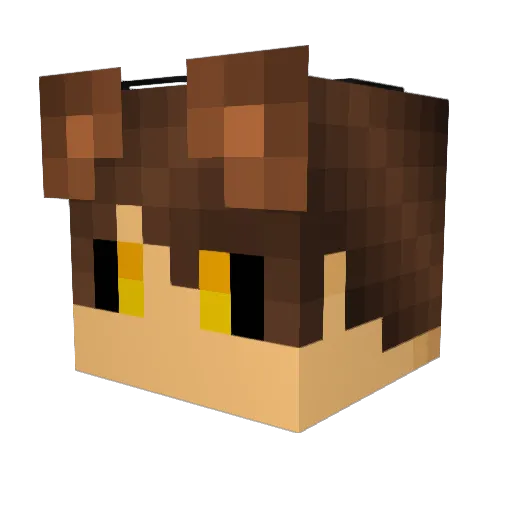 Hector_FES Minecraft avatar head, 3D render