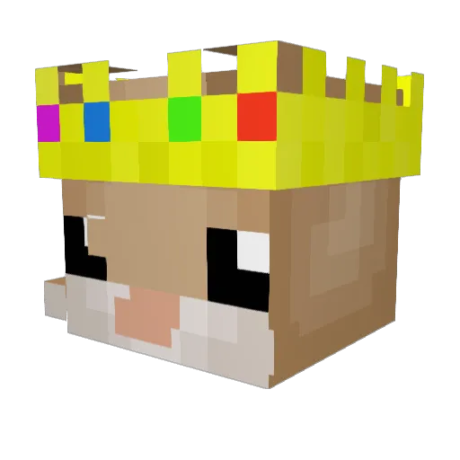 Hectorbrother Minecraft avatar head, 3D render