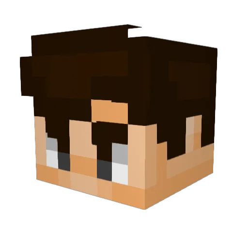 Hectorelrubio06 Minecraft avatar head, 3D render