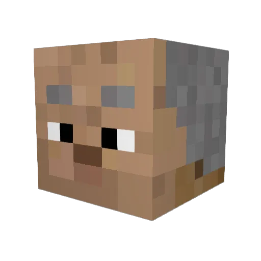 Hectorx_24 Minecraft avatar head, 3D render