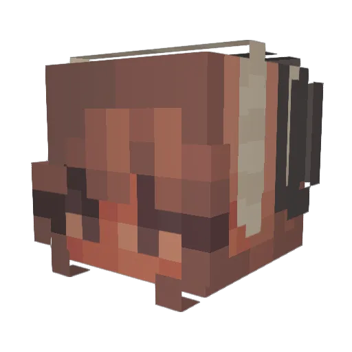 Hedd5 Minecraft avatar head, 3D render
