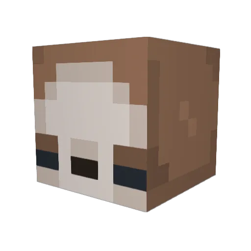 HeddaB08 Minecraft avatar head, 3D render