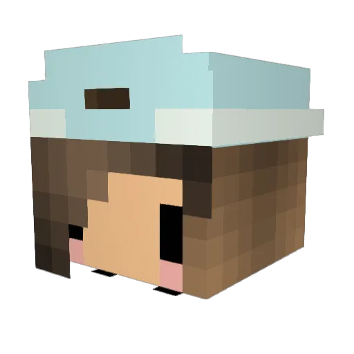 Heddy00 Minecraft avatar head, 3D render
