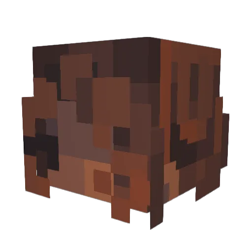 HedeonRP Minecraft avatar head, 3D render
