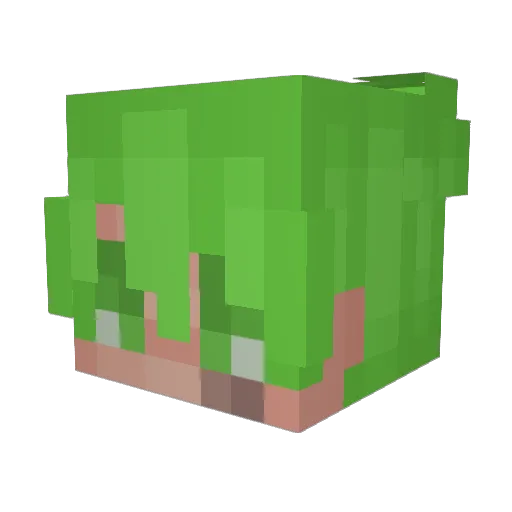 HedgeHerb Minecraft avatar head, 3D render