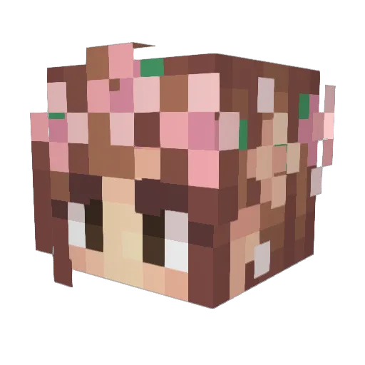 Hedgehog1103 Minecraft avatar head, 3D render