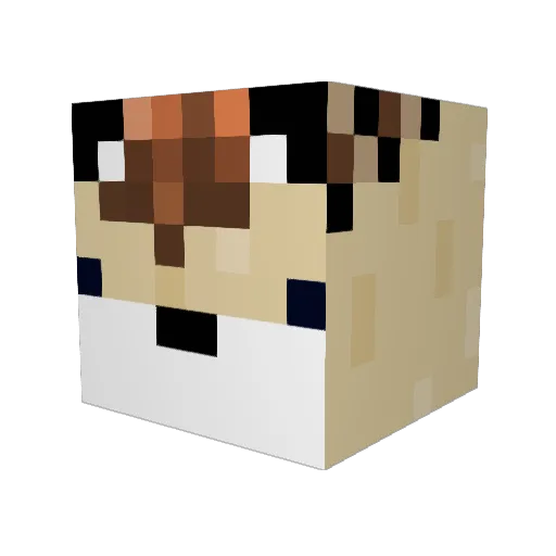 Hedgehog155 Minecraft avatar head, 3D render