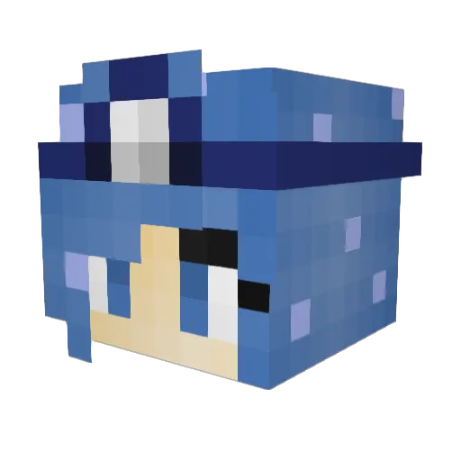 HedgehogBlue Minecraft avatar head, 3D render