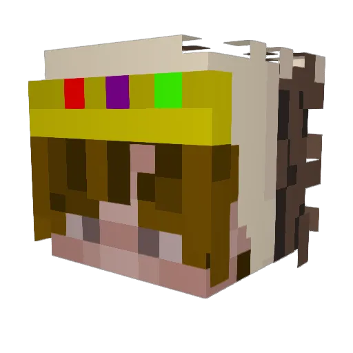 Hedgehogg_ Minecraft avatar head, 3D render