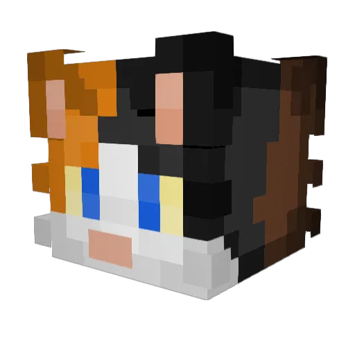 Hedgicus_Hoggins Minecraft avatar head, 3D render