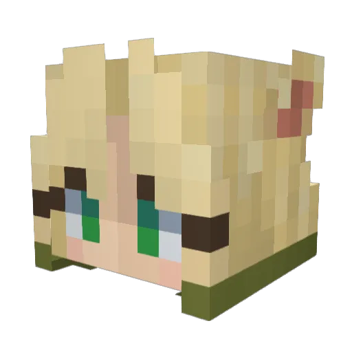 Hedgy_42 Minecraft avatar head, 3D render
