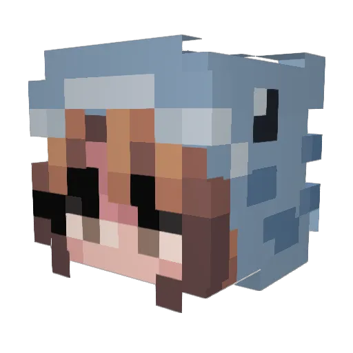 Hedvig2010 Minecraft avatar head, 3D render