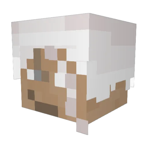 HedwigBomb Minecraft avatar head, 3D render