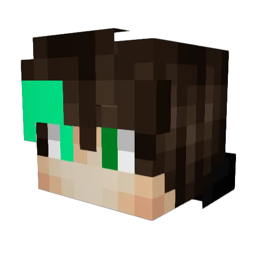 HedwigRG Minecraft avatar head, 3D render
