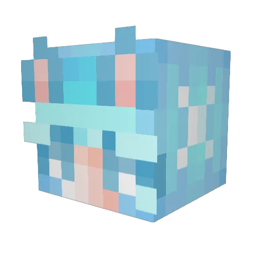 HedwigsPlace Minecraft avatar head, 3D render
