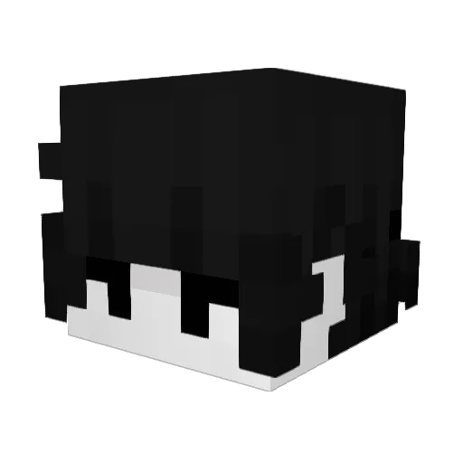 Hee_eut Minecraft avatar head, 3D render