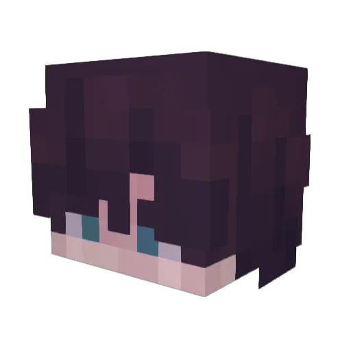 Heecho_93 Minecraft avatar head, 3D render