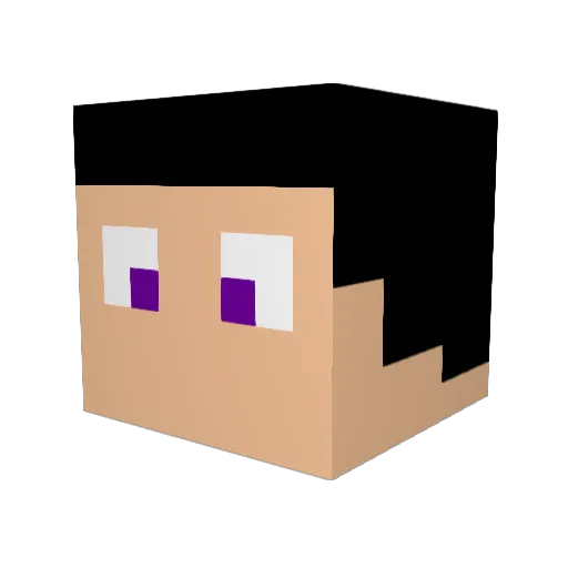Heedender Minecraft avatar head, 3D render