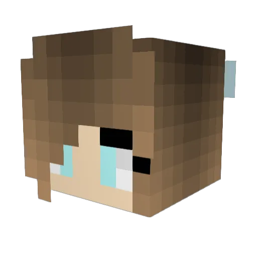HeeeHeeeXD Minecraft avatar head, 3D render