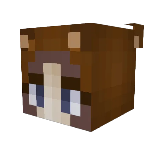 Heeeeeeyyyy Minecraft avatar head, 3D render