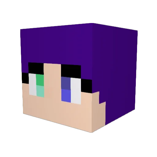 Heel_Hub Minecraft avatar head, 3D render