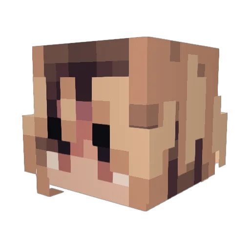 Heeli0s Minecraft avatar head, 3D render