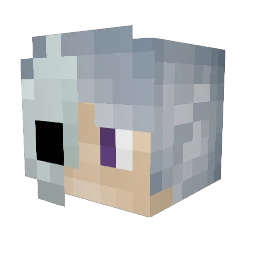HeeonTV Minecraft avatar head, 3D render