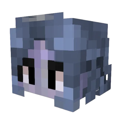 HeerWither Minecraft avatar head, 3D render