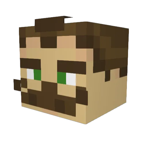 Heeroi1 Minecraft avatar head, 3D render