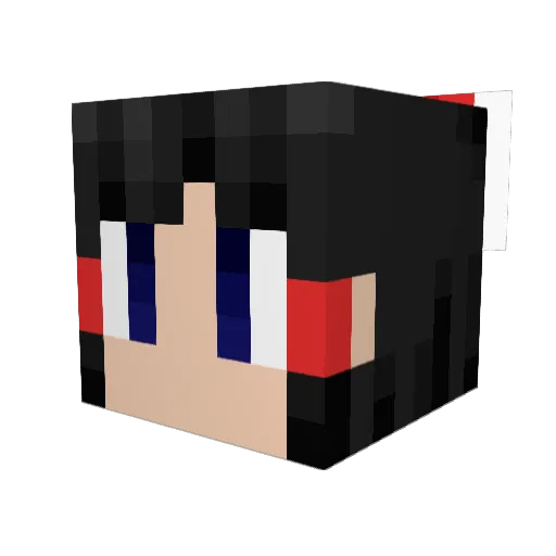 Heesuke Minecraft avatar head, 3D render