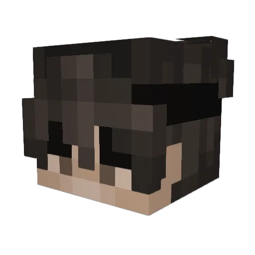 Heexuus Minecraft avatar head, 3D render