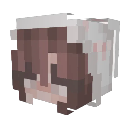 Heffemon Minecraft avatar head, 3D render