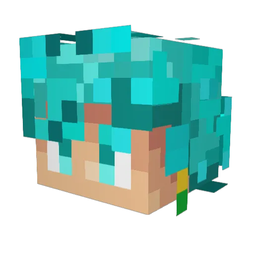 HeftyPlayer Minecraft avatar head, 3D render