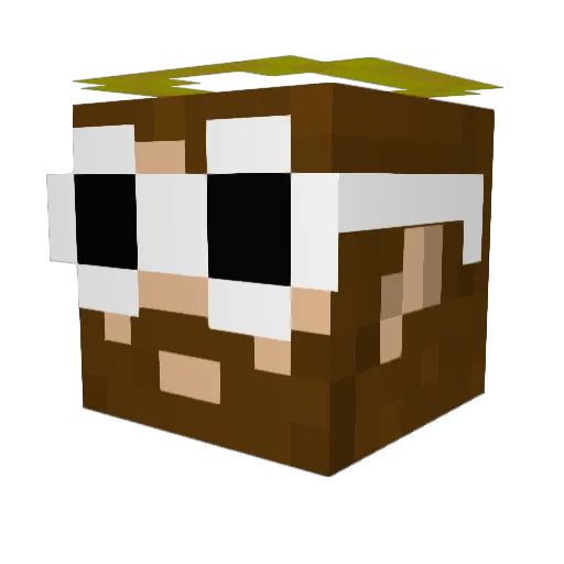 HeftySquidd Minecraft avatar head, 3D render