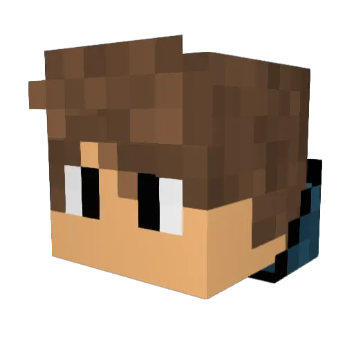 Hefy04 Minecraft avatar head, 3D render