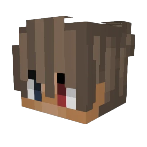 Hegarion Minecraft avatar head, 3D render