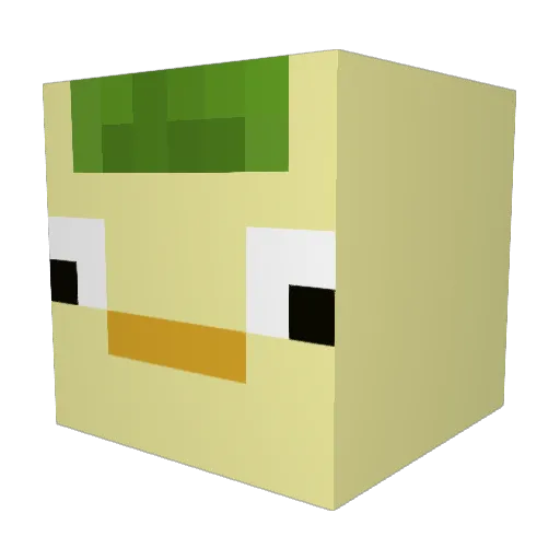 Hegus Minecraft avatar head, 3D render