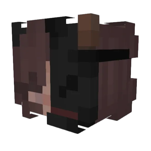 Hehe1768 Minecraft avatar head, 3D render