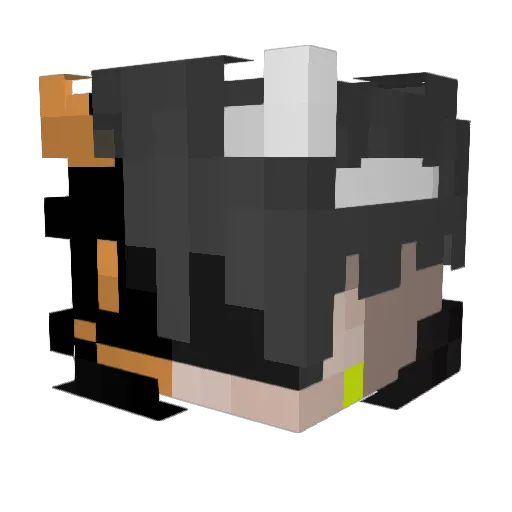 HeiMao_824 Minecraft avatar head, 3D render