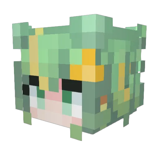 HeiSan2004 Minecraft avatar head, 3D render