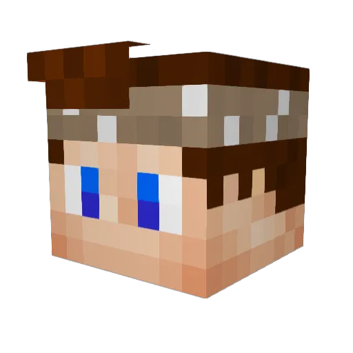 HeideKrautLP Minecraft avatar head, 3D render