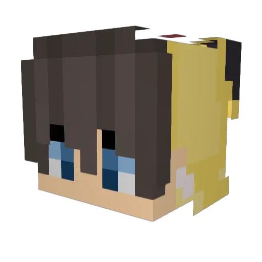 Heidelberg Minecraft avatar head, 3D render